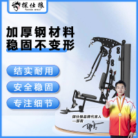 探仕狼 综合训练器运动器械健身器材豪华单方位综合训练器 ZD79