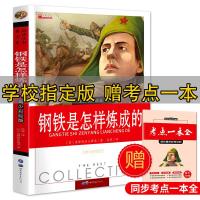 正版新书]钢铁是怎样炼成的(中小学生阅读指定版)赠考点一本全