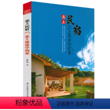 [正版]恋上民宿:恋上旅途中的家 民宿之旅民宿经验集成旅馆介绍蹒跚在民宿路上书籍