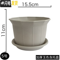 三维工匠花盆塑料加厚家用大号特大号阳台专用绿萝多肉吊兰树脂小花盆 5号玉色15.5cm 中等花盆容器