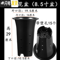三维工匠塑料加厚加高兰盆带壁孔和不带壁孔款式花盆底自带沥水罩 3号兰花盆[8.5寸]没有拖盘 50个[同号]花盆容器