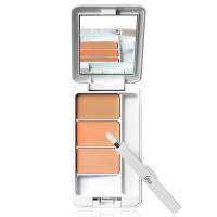 [杨幂同款]IPSA 茵芙莎 纯美无瑕修饰 遮瑕膏/笔 EX 4.5g 肤色系 粉底/遮瑕淡斑