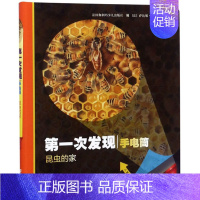 [昆虫建筑]昆虫的家 [正版]第一次发现手电筒系列全8册视觉大发现 法国儿童科普神奇撕不烂书 我们的身体 3至12岁