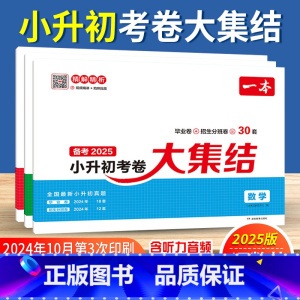 3本[考卷大集结]语数英全套 小学升初中 [正版]小学知识大盘点语文数学英语人教版 小升初真卷2025新版六年级小升初总
