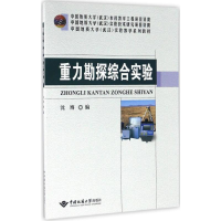 音像重力勘探综合实验沈博 编