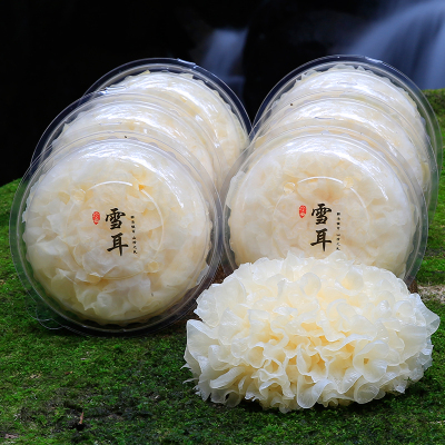 6朵盒装新鲜银耳-古田500g鲜活银耳白木耳无硫雪耳糯6朵盒装新鲜银耳-