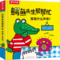 音像那是什么声音?(英)乔·洛奇