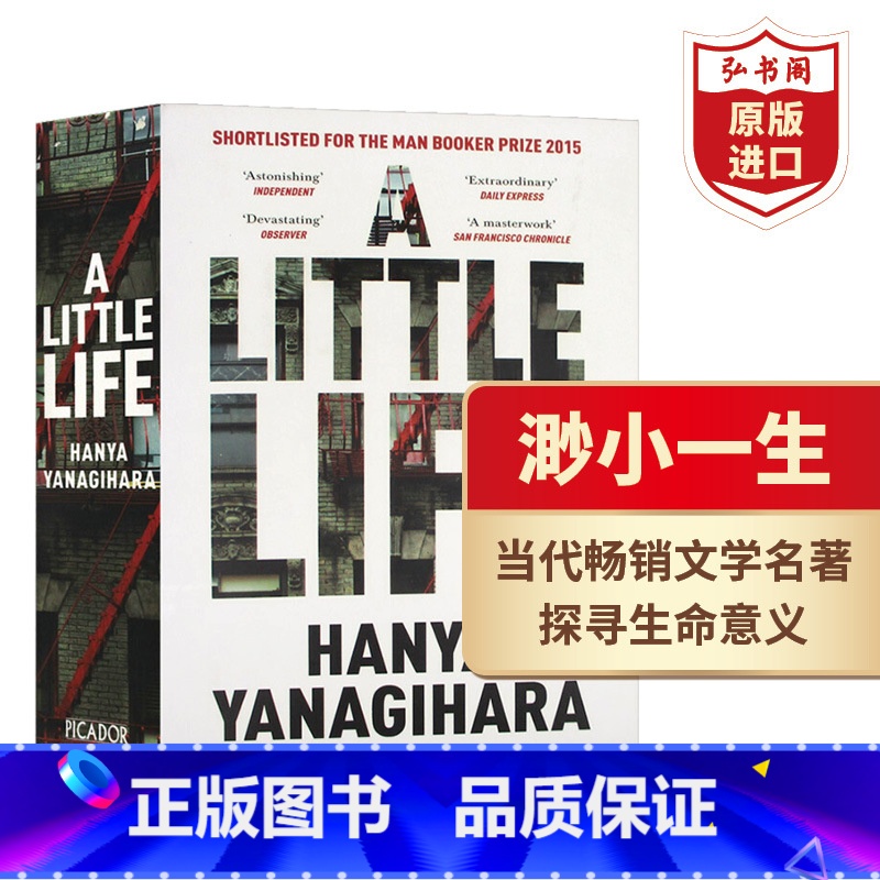 [正版]渺小一生 英文原版 A Little Life 小生活 柳原汉雅 当代文学名著 课外阅读 搭相约星期二 追风筝