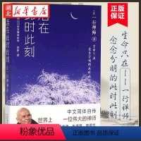 [正版]一行禅师 活在此时此刻 一行禅师修行手记 一本教你活出生命意义的灵性之书 讲述一行禅师真实的生活经历心灵励志书