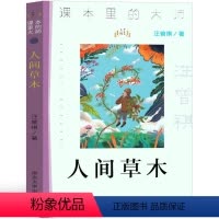 [正版]人间草木汪曾祺/著南京大学出版社散文集九年级课外书阅读书籍少儿初中生图书初中二年级主题书单初二百班千人张祖庆