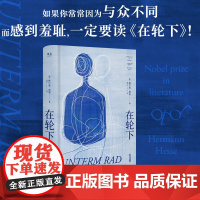 在轮下 赫尔曼·黑塞 姜乙德文直译 对教育体制的控诉 反内卷 外国小说 悉达多 德米安 荒原狼 果麦出品