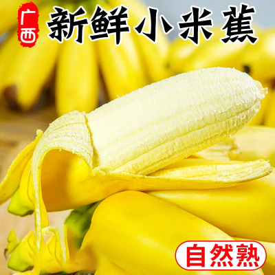 [西沛生鲜]新鲜农家小米蕉 净重9斤 箱装 新鲜当季水果 香甜软糯 孕妇宝宝辅食 坏果包赔