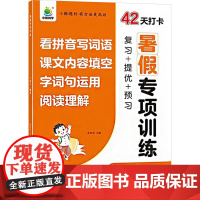 暑假专项训练 3升4 语文 张秋雨 编 小学教辅文教 正版图书籍 河南大学出版社