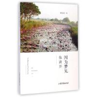 正版新书]因为梦见你离开/张怡微作品张怡微9787547413784