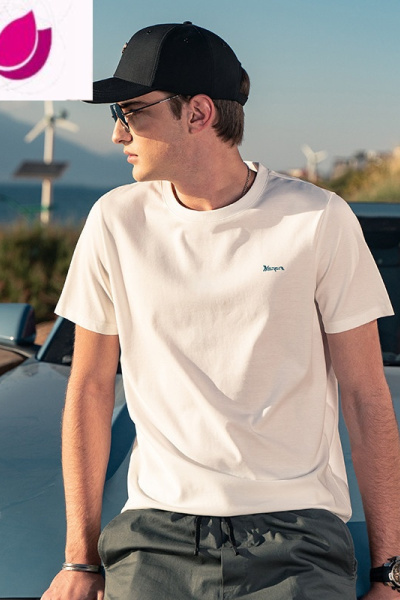 七斓 凉感降温冰丝棉短袖T恤男潮夏装休闲百搭刺绣男装夏季衣服