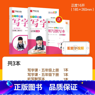 暑假衔接→5年级上下册(语文)2本 [正版]字帖写字课一二三四五六年级上册下册 下上语文英语同步练字帖一年级字帖练字小学