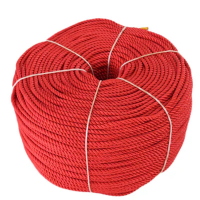 德力彩 尼龙绳 10mm 50米/捆 捆