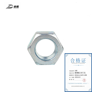 达昭 镀锌螺母 200个 M24mm Q235 4.8级