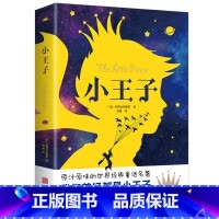 小王子 [正版] 小王子 原版学生版 完整版无删减经典儿童童话故事书 小说文学名著读物 四五六年级中小学生课外阅读书