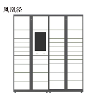 凤凰泾智能快递柜小区快递自提柜派件柜室外寄存柜信报箱储物柜一主一副39格