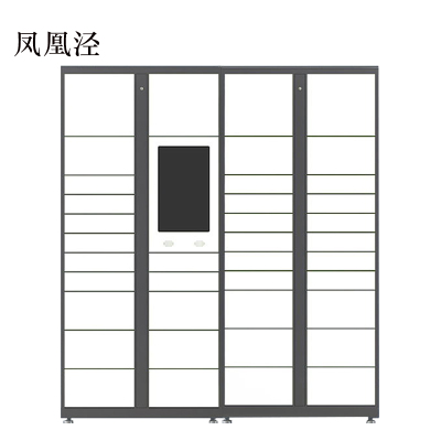凤凰泾智能快递柜小区快递自提柜派件柜室外寄存柜信报箱储物柜一主一副39格