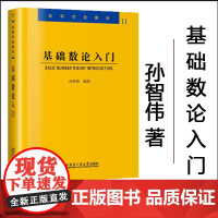 基础数论入门 高等学校教材孙智伟著数学理论大学教材教辅高等学校教材高中数学教师参考用书初等数论入门教材哈尔滨工业大学出版