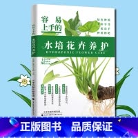 容易上手的水培花卉养护 [正版] 容易上手的水培花卉养护 花卉种植技术 日常养护技巧养花大全教程指南新手养花花草栽