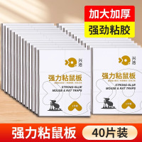 兴洽强力粘鼠板白色40张
