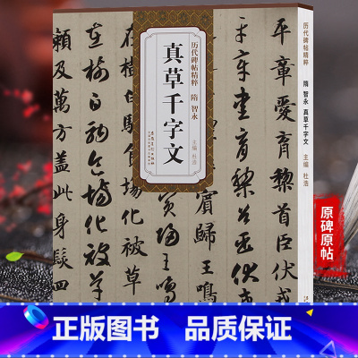 [正版]天卷 隋智永 真草千字文 历代碑帖 杜浩主编 楷书草书毛笔字帖书法学生成人临摹临帖练习古帖 简体旁注原碑原贴