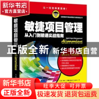 正版 敏捷项目管理 [美]马克·C.莱顿 人民邮电出版社 97871154095