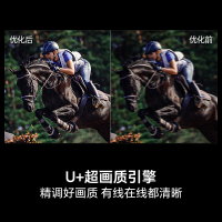 海信电视D30QD 75英寸 144Hz高刷 U+超画质 DTS环绕音响 360°智能天线Wi-Fi6 一级能效