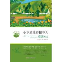 正版新书]大师名画贴纸游戏(康定斯基)西尔维·德尔佩奇9787020