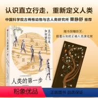 [正版]人类的第一步随书附赠颠覆认知的人类演化树折页直立行走如何塑造人类 杰里米德席尔瓦著 重新定义人类文化人类学人口