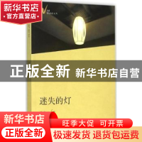 正版 迷失的灯 吴非著 花城出版社 9787536070240 书籍