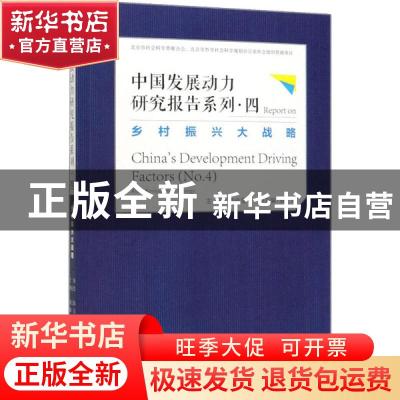 正版 中国发展动力研究报告系列:四:No.4:乡村振兴大战略:Rural r