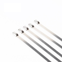 万梓 不锈钢扎带 19*800mm 根