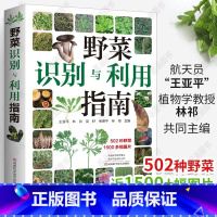 [正版]野菜识别与利用指南常见野菜野外识别速查图鉴野菜书籍大全野菜的食用方法中国野菜百科中国野菜大全野菜的功效大全河南