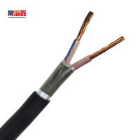 常顺鑫 低压铜芯电缆YJV22 0.6/1KV 2×16 米