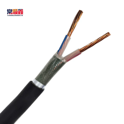 常顺鑫 低压铜芯电缆YJV22 0.6/1KV 2×16 米