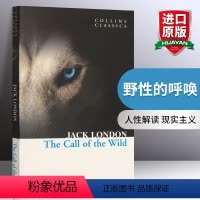 野性的呼唤 [正版]柯林斯经典文学系列英文原版小说 古希腊罗马的神话故事 英文版搭小妇人little women 黑骏马