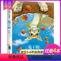 兔子坡 [正版]4本28元 居里夫人的故事 居里夫人传记 国际大奖儿童文学彩图版小学生三四五六年级课外阅读书籍7-9-1