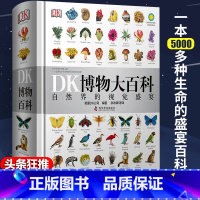 [DK系列]DK博物大百科 [正版]DK行星一本太阳系旅行指南dk宇宙百科全书6-12岁揭秘星系科普书籍了解太阳系地图揭