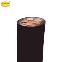 傻实在 国标全项保检 ZR-YJV22 4*16mm²+1*10mm² 米
