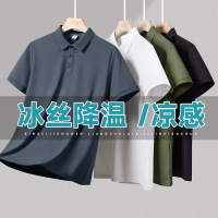 翻领冰感速干T恤夏季短袖polo衫透气纯色体恤青年打底外穿男上衣