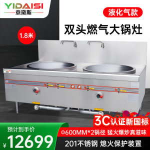 意黛斯 商用燃气大锅灶 猛火灶单位学校食堂电磁猛火大炒锅饭店酒店节能灶台双头60型 YDS-GSSD120Y液化气