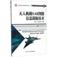 音像机载SAR图像信息提取技术段连飞,黄国满 编著