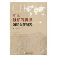 音像中国铁矿石资源国际合作研究陈芳著