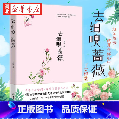 [正版]去细嗅蔷薇 丁立梅 带你细品用音乐煮出的文字 用文字感怀温暖的人生 现代文学作品集 上百篇文章被设计成语文考试