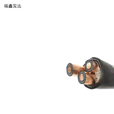 瑞鑫发达铜芯铠装电缆 YJV22 3*2.5 米