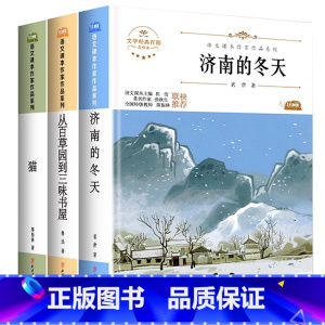 [全套3册]猫 +济南的冬天+从百草园到三味书屋 [正版]国一必读的课外书 小升初课外书必读书籍下册 适合小学六升国一初